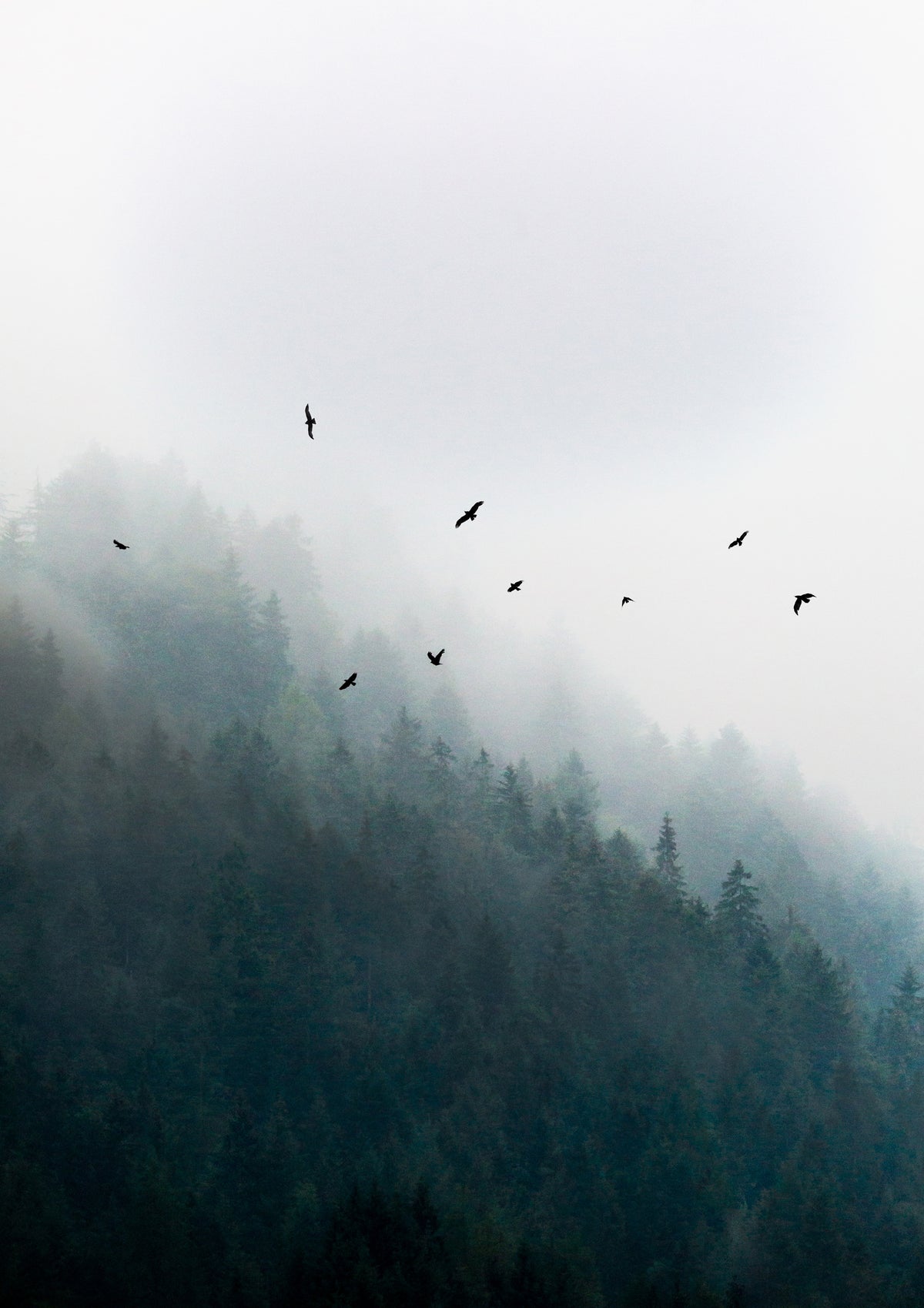 acrylic-print-foggy-morning-4