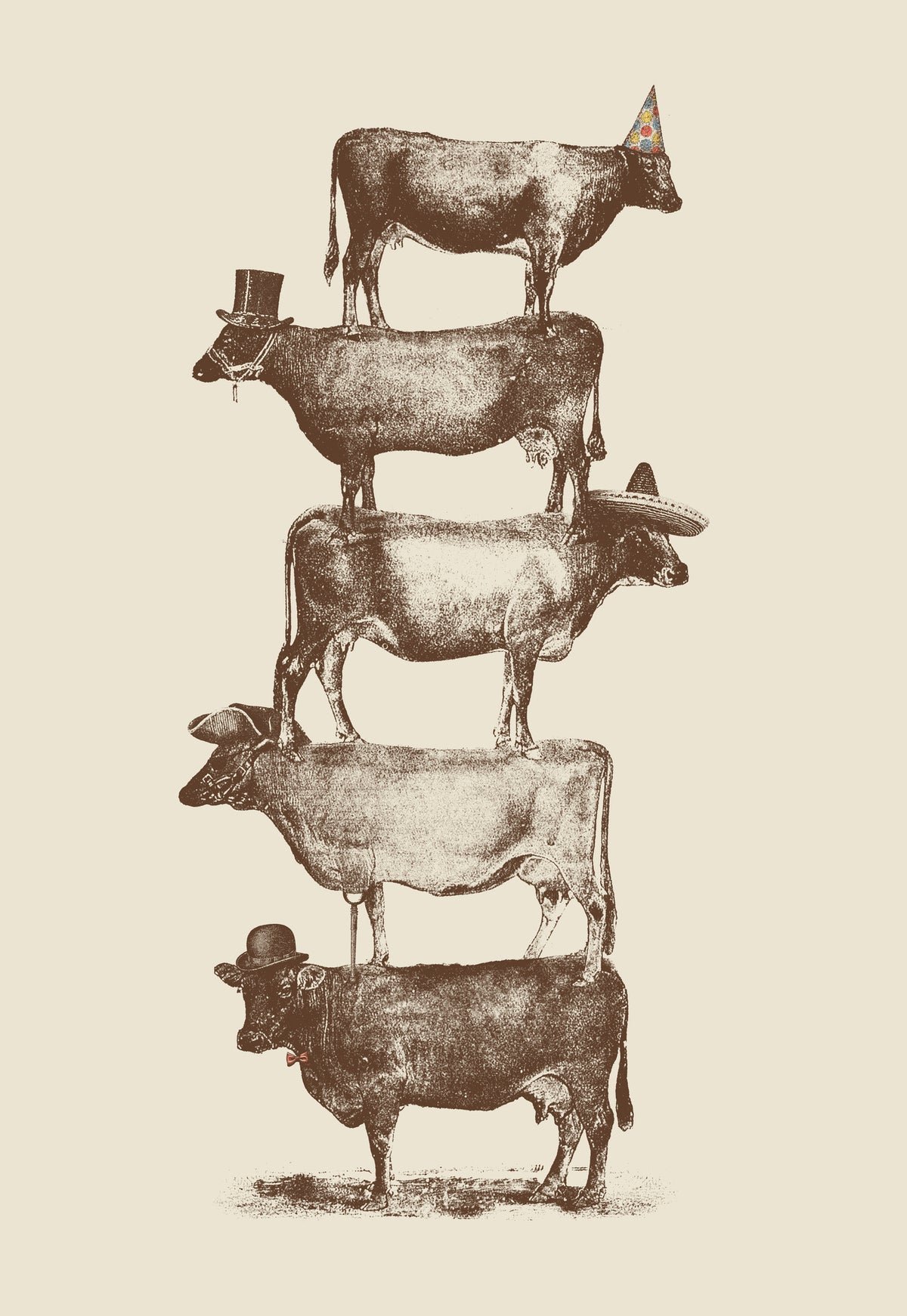 acrylic-print-cow-cow-nuts