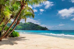 poster-print-beach-with-palm-trees-in-jamaica
