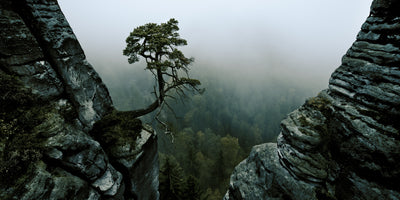 poster-print-lonely-guardian