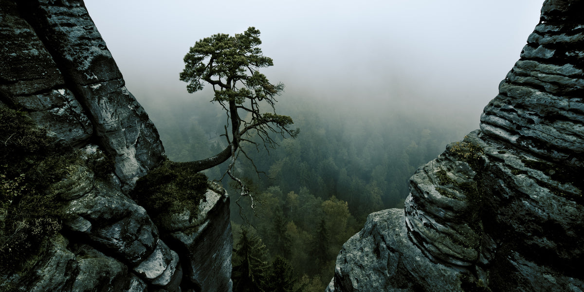 poster-print-lonely-guardian