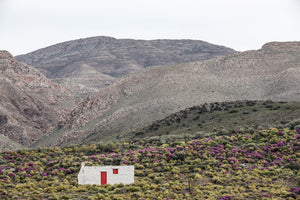 aluminium-print-white-house-with-a-red-door