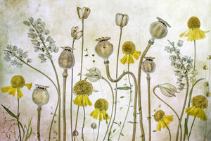 framedcanvas-print-poppies-and-helenium-x