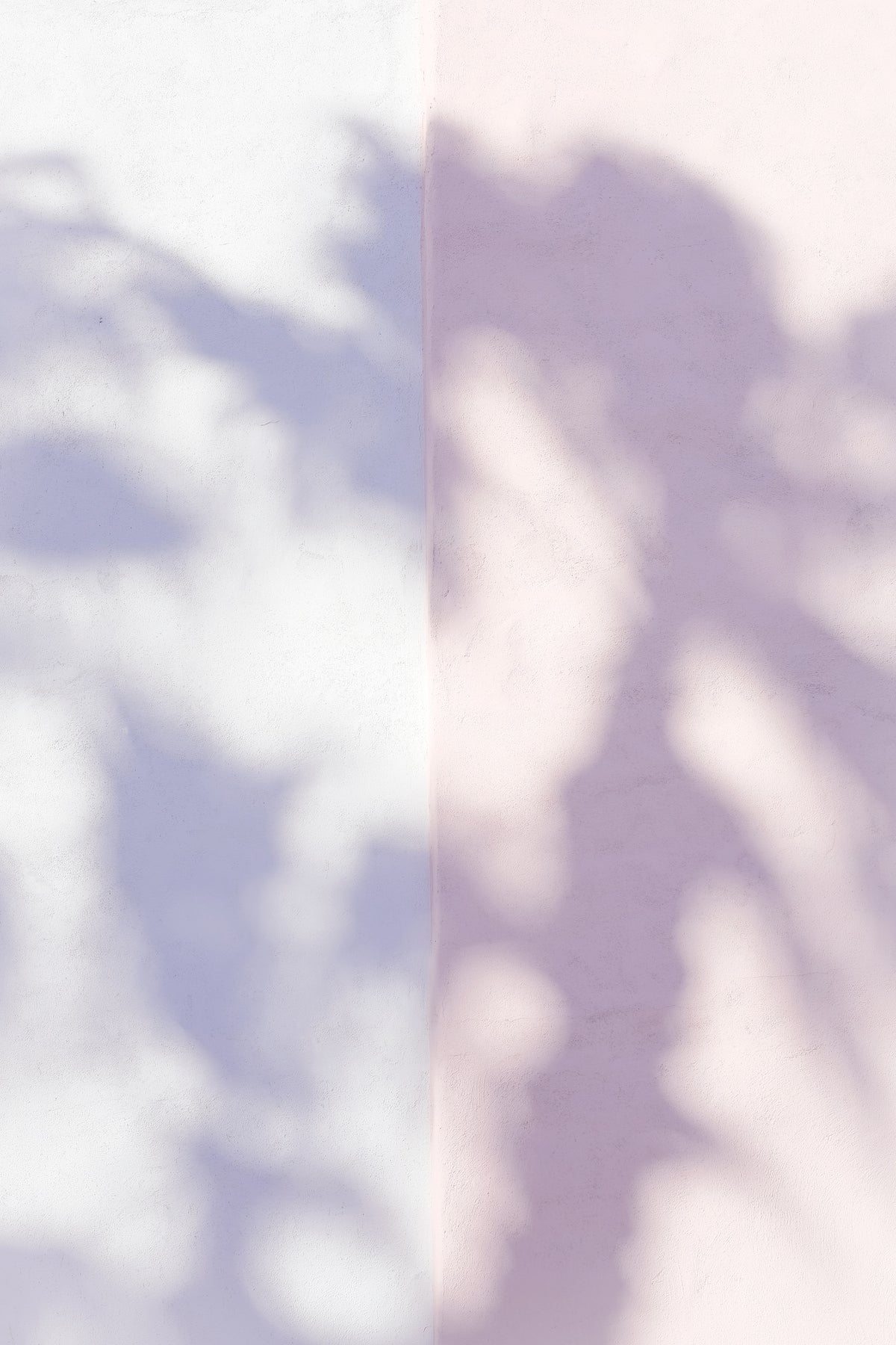 aluminium-print-las-vegas-palm-tree-shadows
