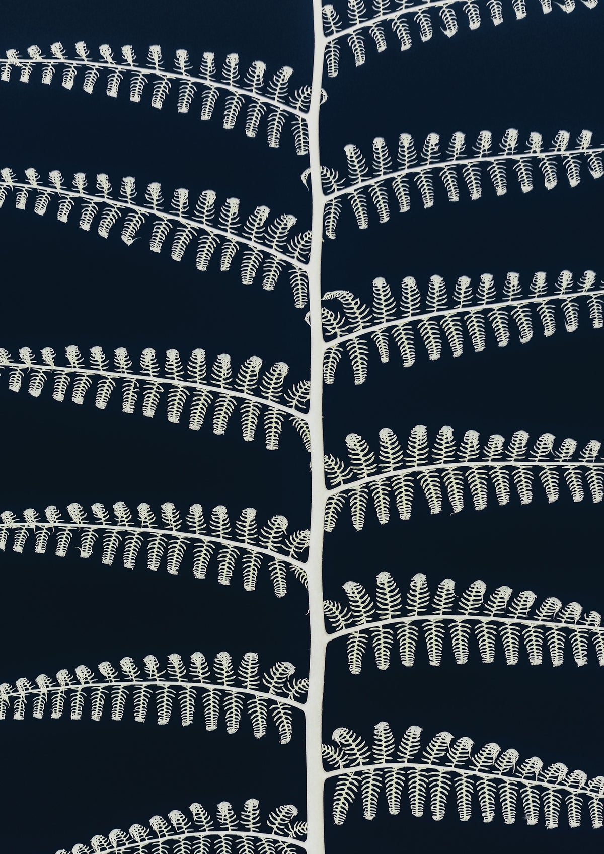 framedcanvas-print-white-fern-patterns
