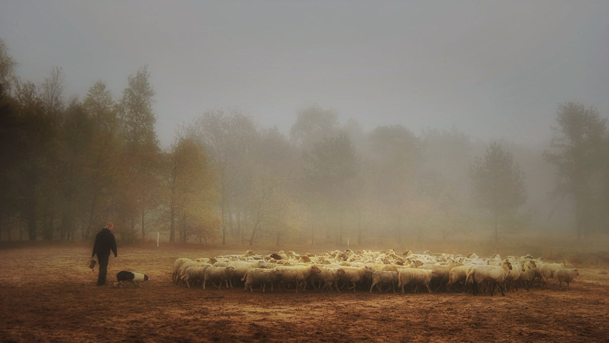poster-print-foggy-memory-of-the-past-2