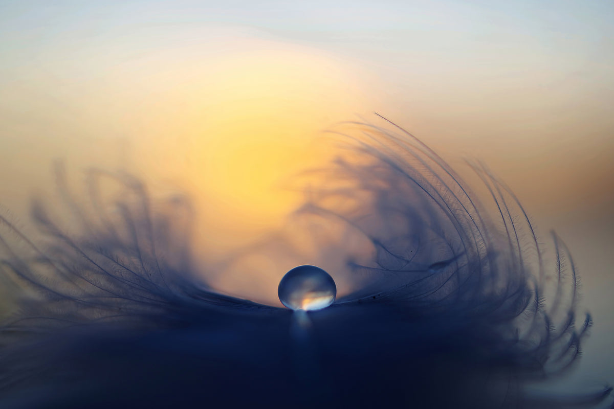 framedcanvas-print-morning-ii
