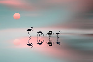 canvas-print-family-flamingos-x