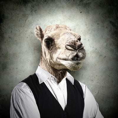 poster-print-the-portrait