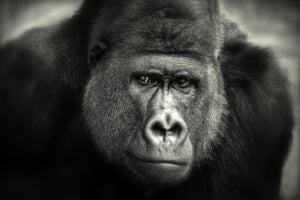 canvas-print-little-smile-x