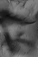 framedposter-print-zebra-curves