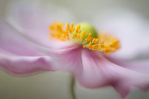 acrylic-print-dreaminess-2