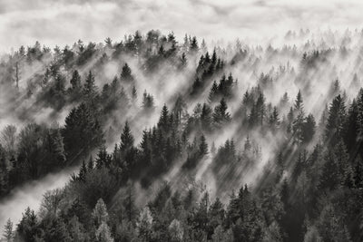 poster-print-sundance-no-i