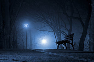 framedposter-print-at-night-in-the-park