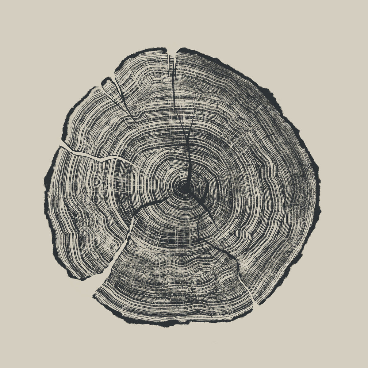 aluminium-print-hand-drawn-oak