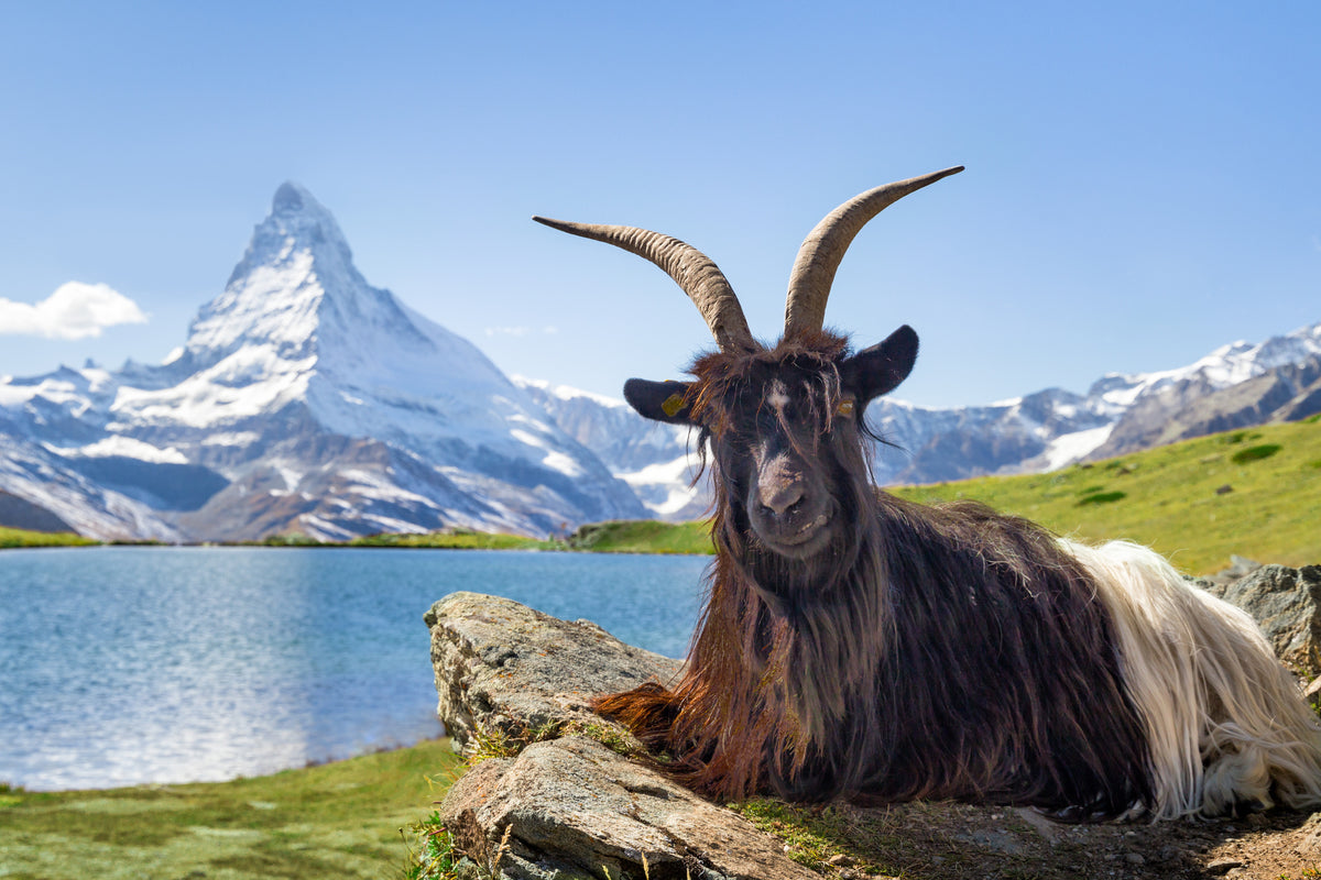 3-piece-canvas-print-alpine-tranquillity-on-lake-matterhorn