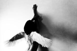 canvas-print-not-fly