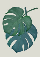 acrylic-print-monstera-aqua-06