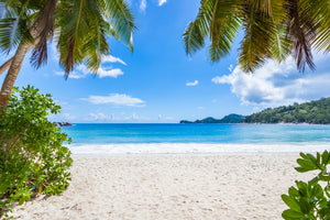 poster-print-anse-takamaka-beach