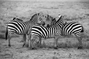 aluminium-print-stripes-xoh