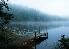 framedposter-print-moody-morning