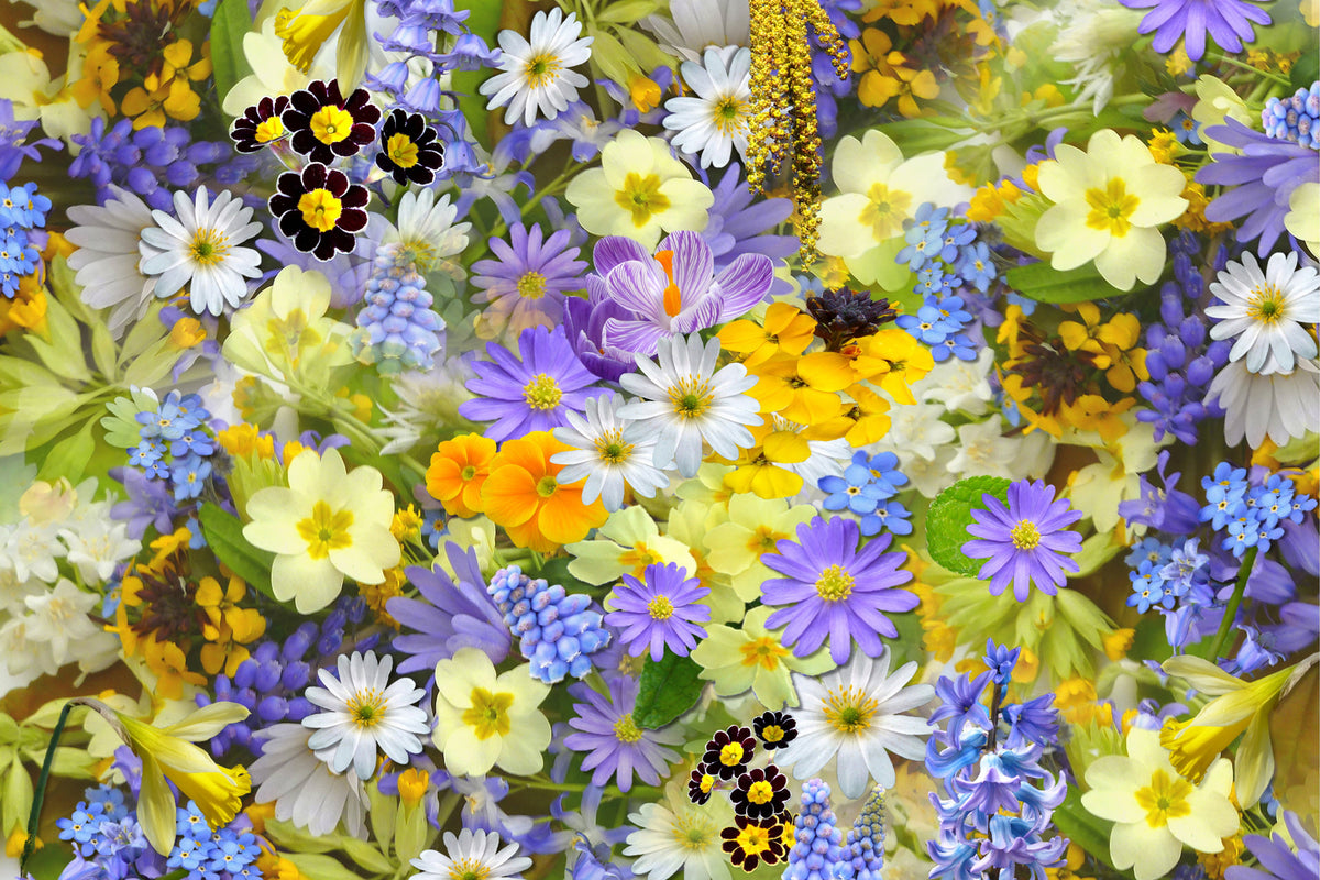 modern-3-piece-acrylic-print-fresh-spring-flowers