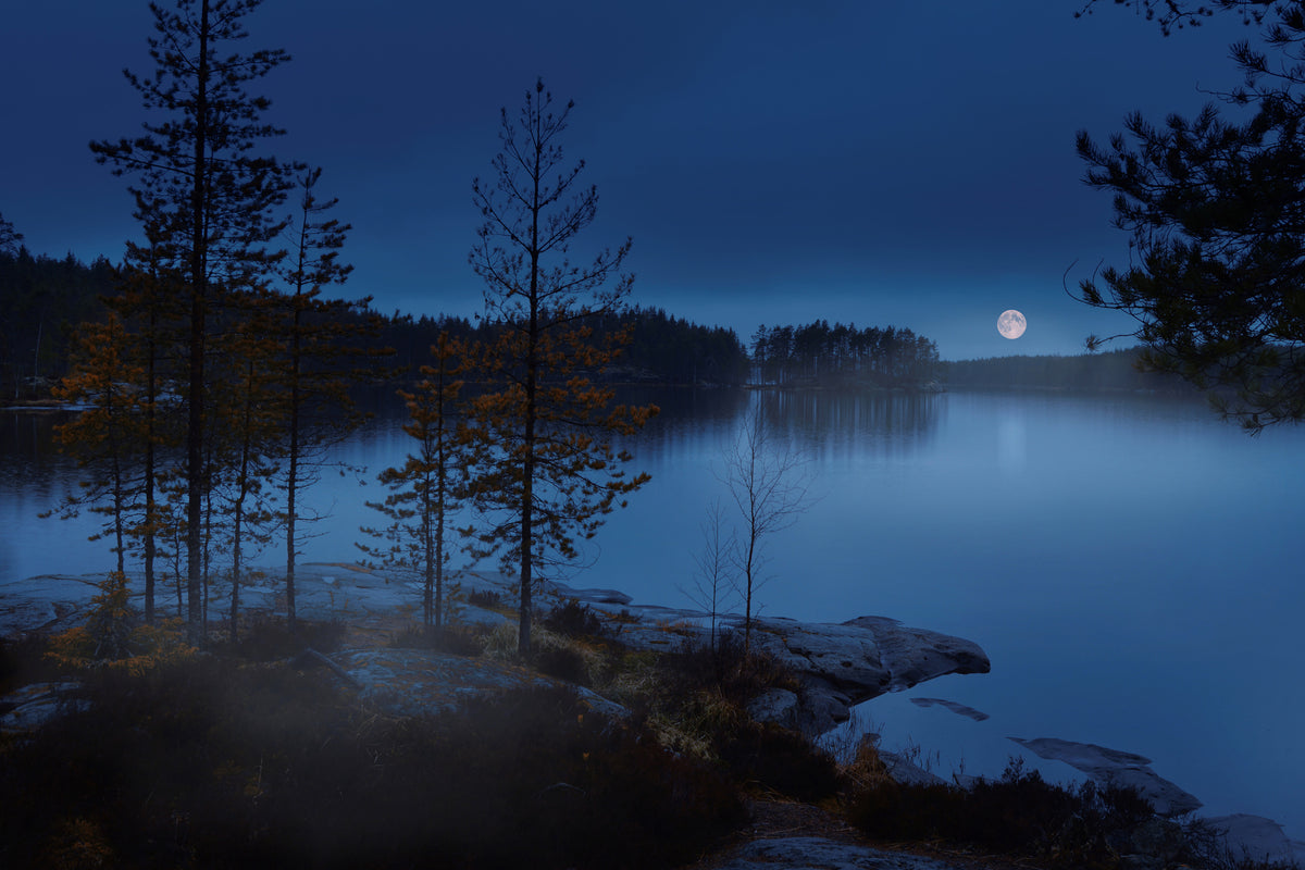 framedposter-print-night-mist-x