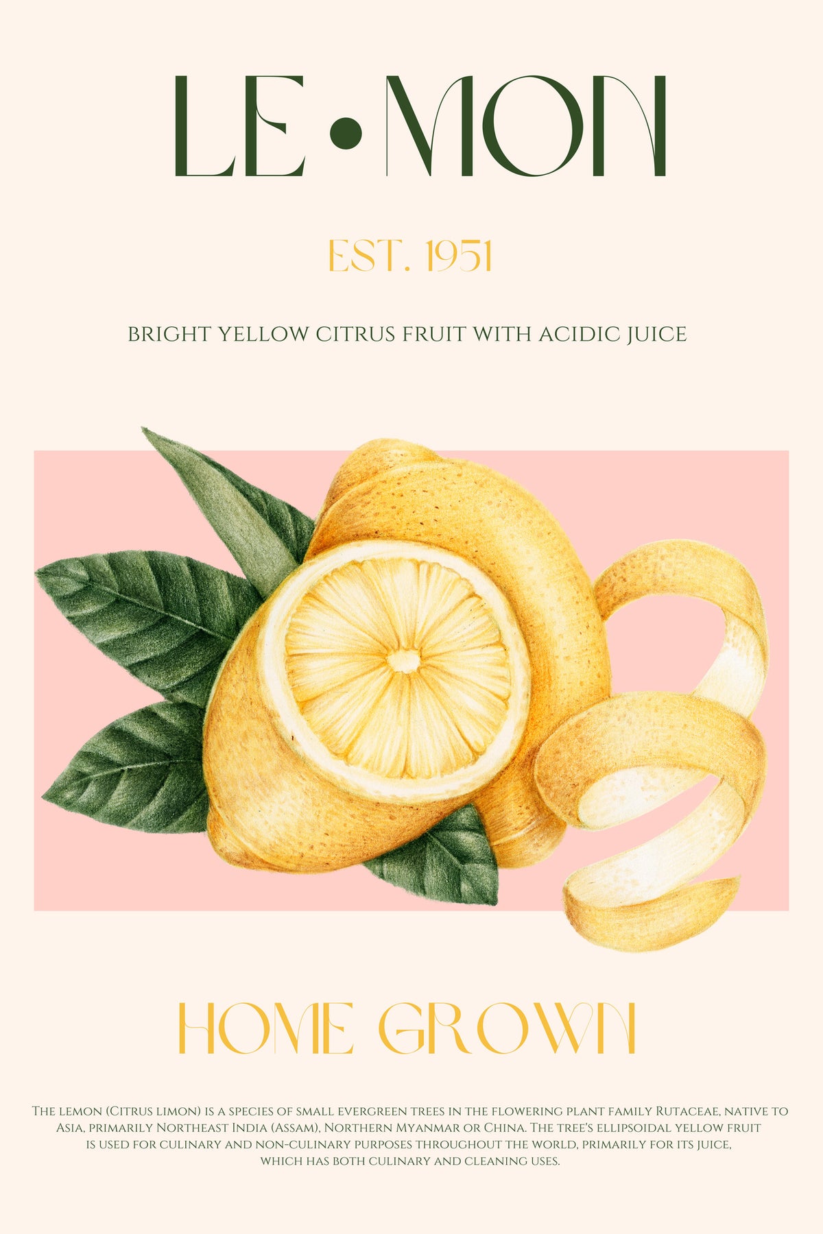 canvas-print-vintage-style-sliced-lemon-with-leaves