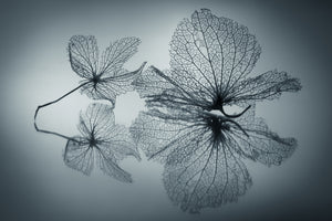 3-piece-acrylic-print-ephemeral-beauty