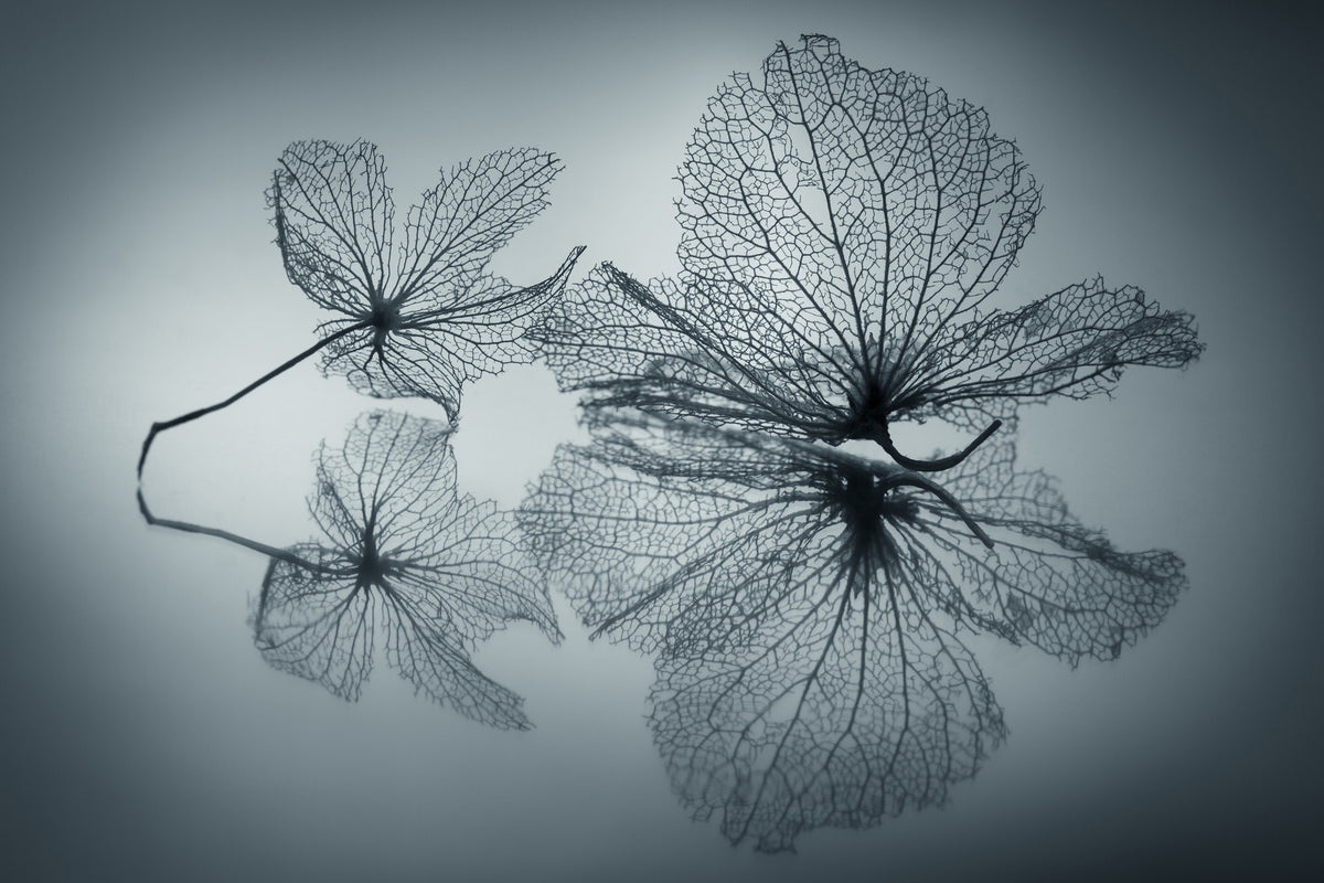 3-piece-acrylic-print-ephemeral-beauty
