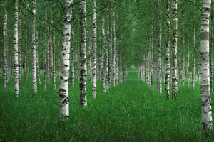 framedposter-print-the-tunnel