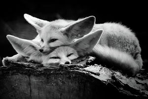modern-3-piece-canvas-print-the-happy-couple