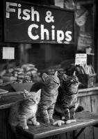 framedposter-print-hungry-kittens