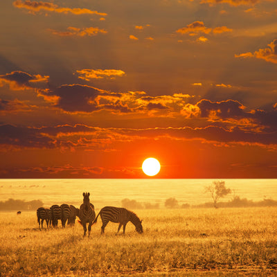 poster-print-seregenti-national-park