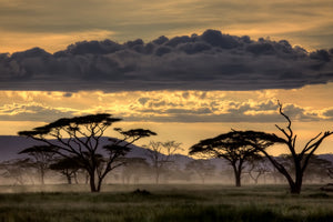 acrylic-print-good-evening-tanazania