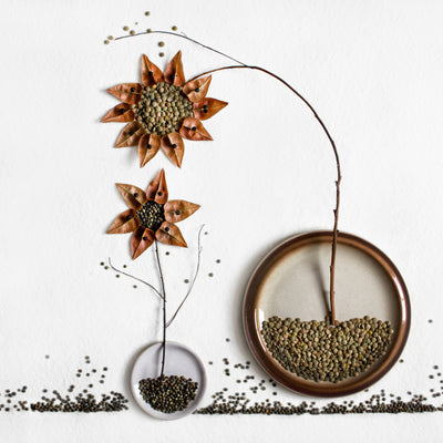 poster-print-herbarium