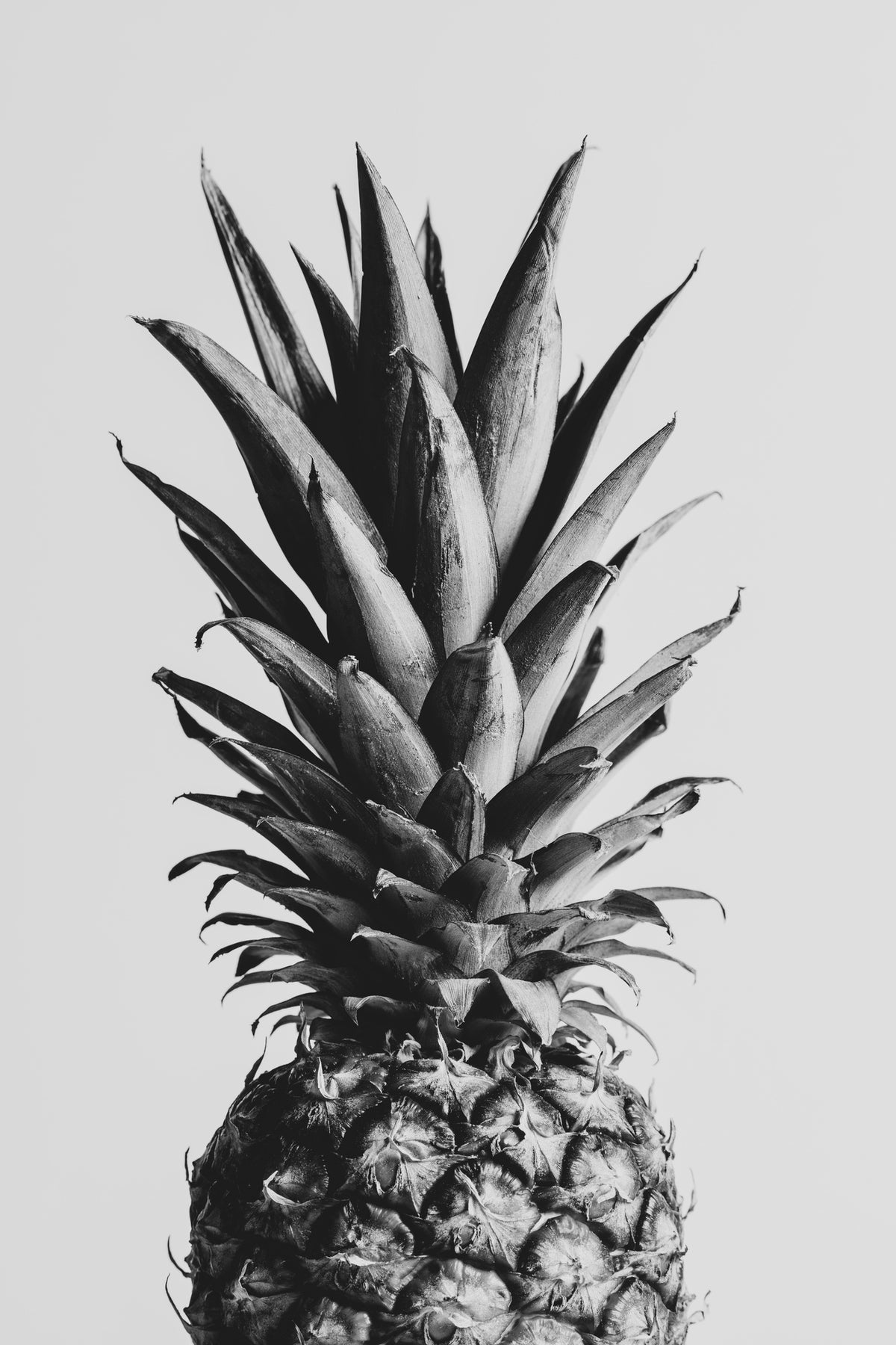 canvas-print-pineapple-black-amp-white-02