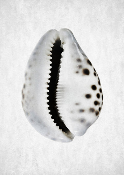 poster-print-spring-tide