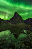 aluminium-print-blaze-of-beauty