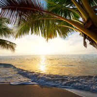 4-piece-canvas-print-beach-view