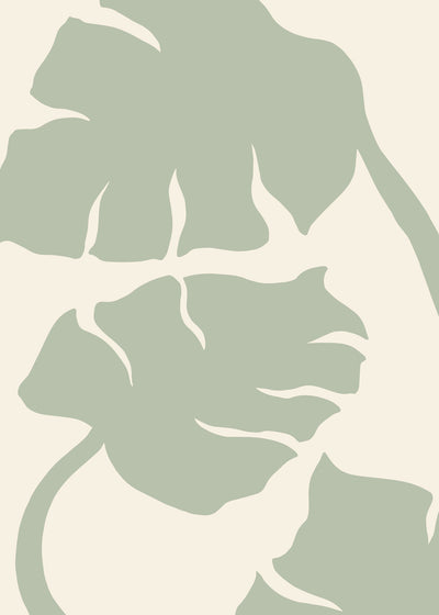 poster-print-monstera-sage-green