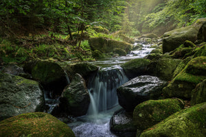 canvas-print-calming-view