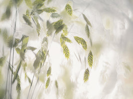 modern-4-piece-acrylic-print-grass-blades
