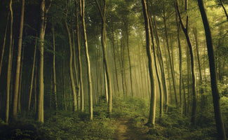 canvas-print-on-my-own