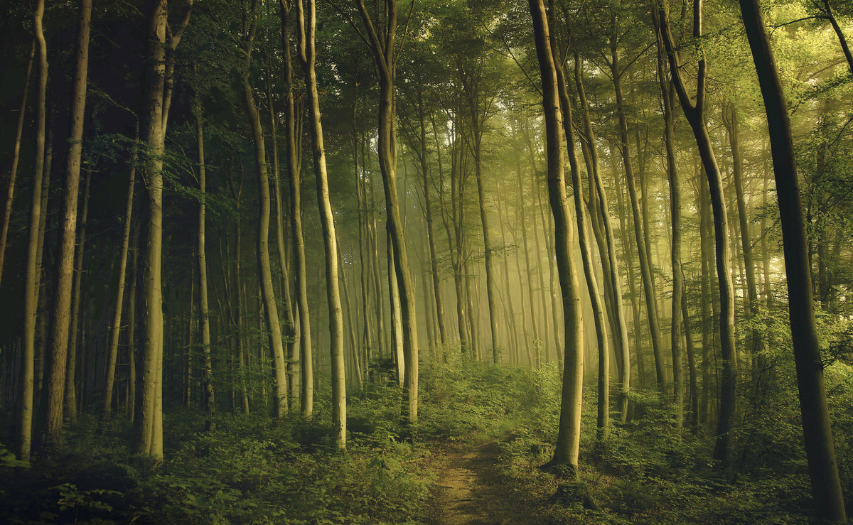 canvas-print-on-my-own