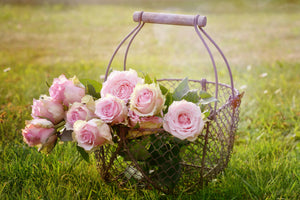 acrylic-print-a-basket-full-of-roses