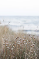 framedcanvas-print-coast-landscapes-4