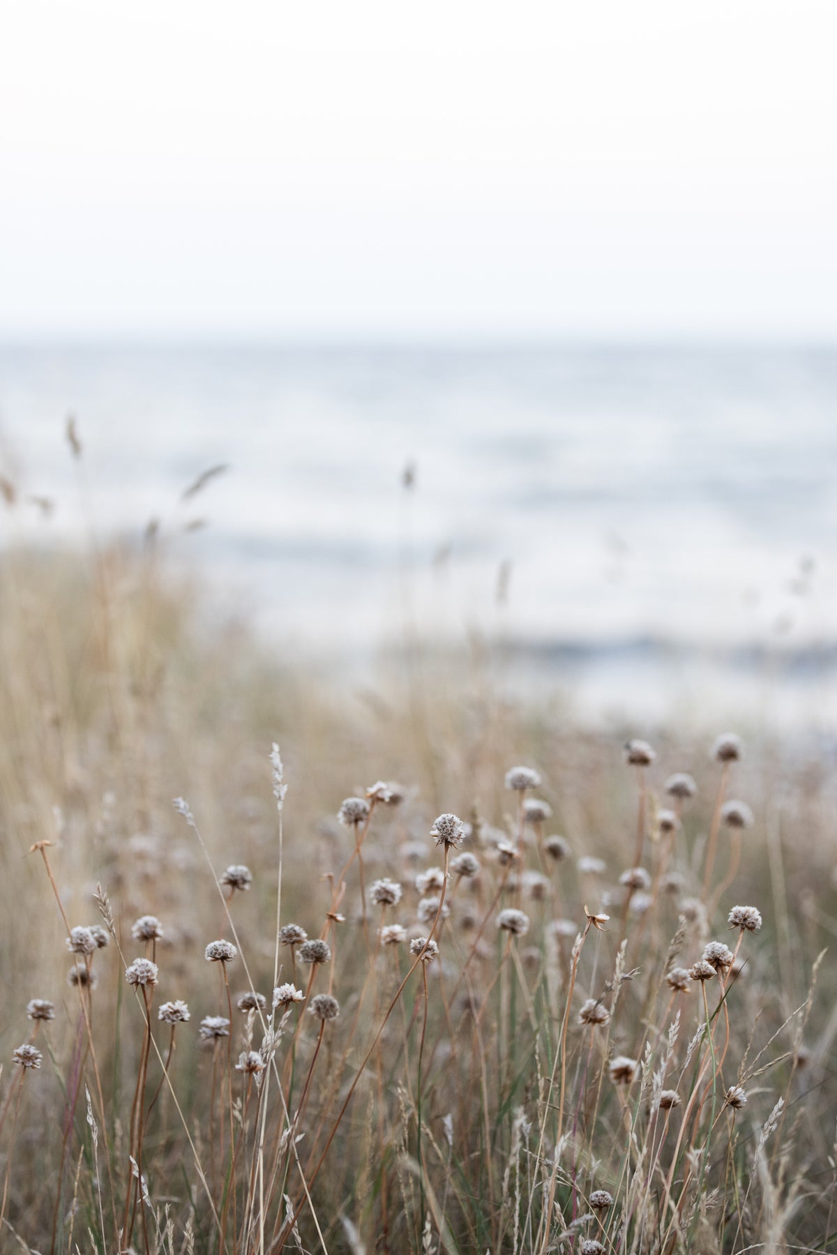 framedcanvas-print-coast-landscapes-4