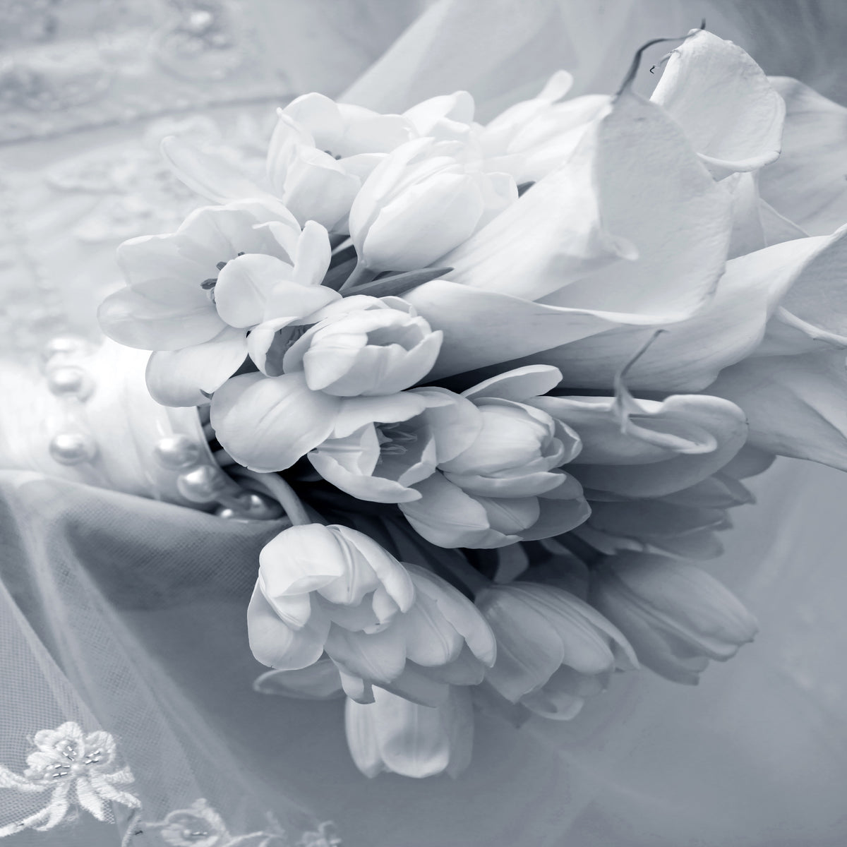 aluminium-print-romantic-tulips-bouquet