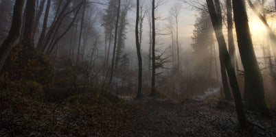 acrylic-print-winters-slight-return